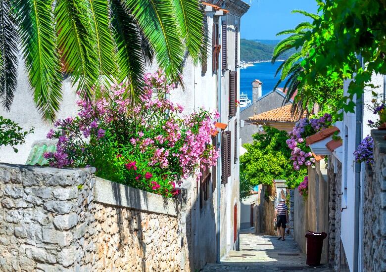Pretty street in Mali Losinj with Mediterranean plants and white buildings