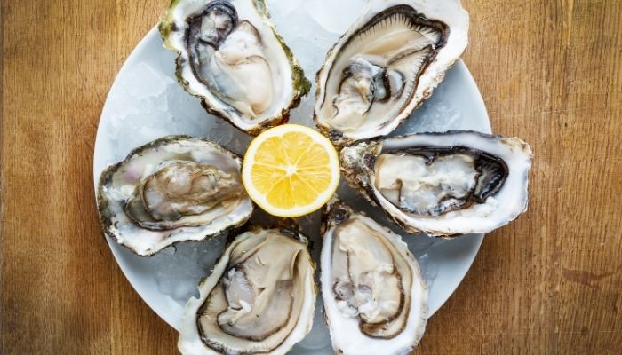 Oysters from Ston