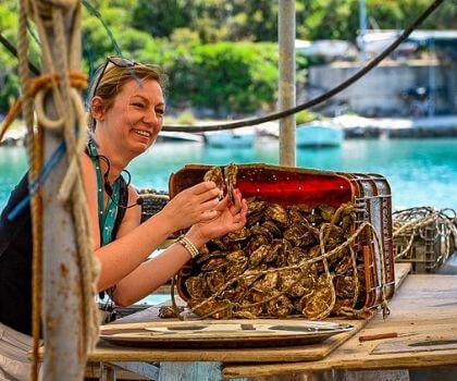 Oyster Harvesting